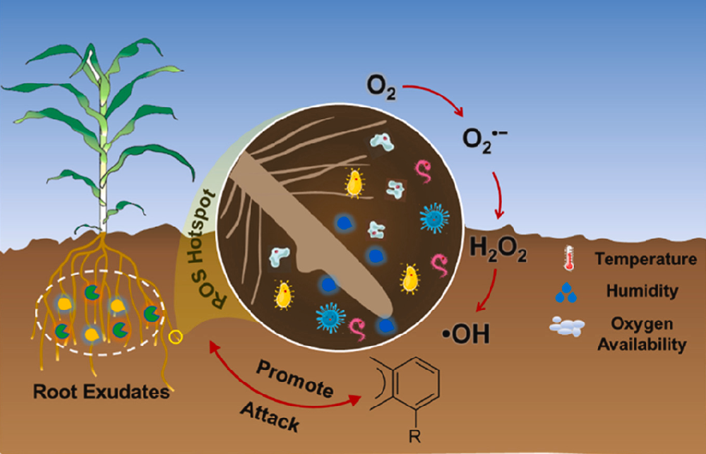 土壤酶活（50项） （Enzyme activity）