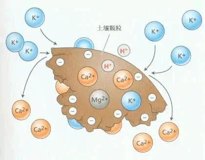 土壤矿质元素（26项） （Mineral）